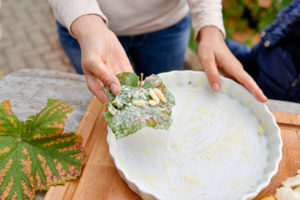 Prepare a gratin of potatoes, pumpkin and Jerusalem artichokes, grease the quiche form with butter and garlic in the vine leaf Prepare a gratin of potatoes, pumpkin and Jerusalem artichokes, grease the quiche form with butter and garlic in the vine leaf